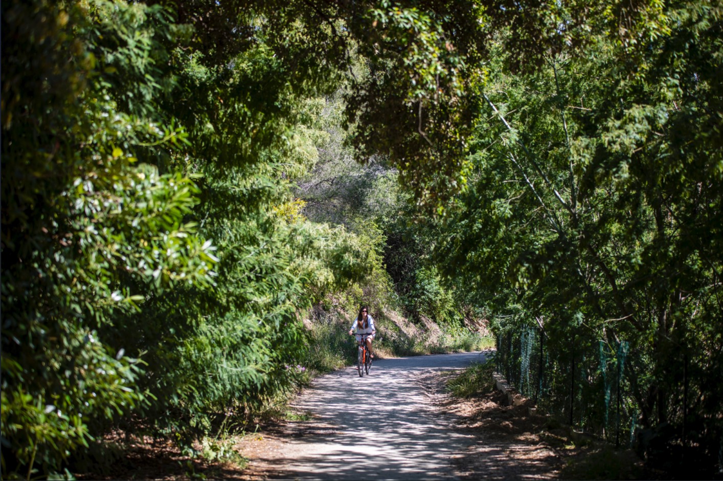 Bailli Domaine du Rayol
